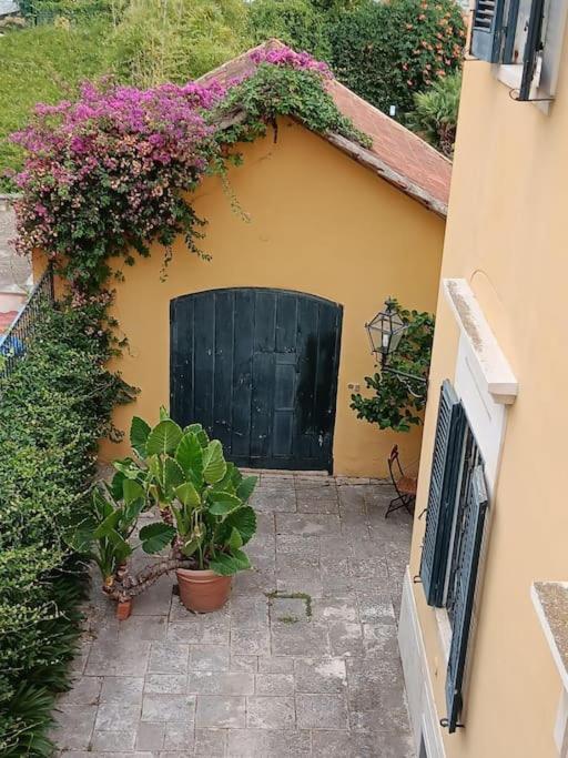 Memena Apartament *